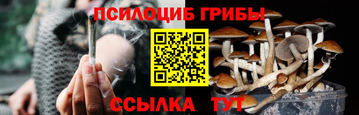 Галлюциногенные грибы мицелий  Вход с VPN  Россия 